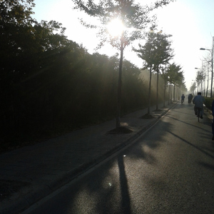 美女被男人猛插软件
